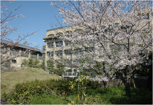 学校画像