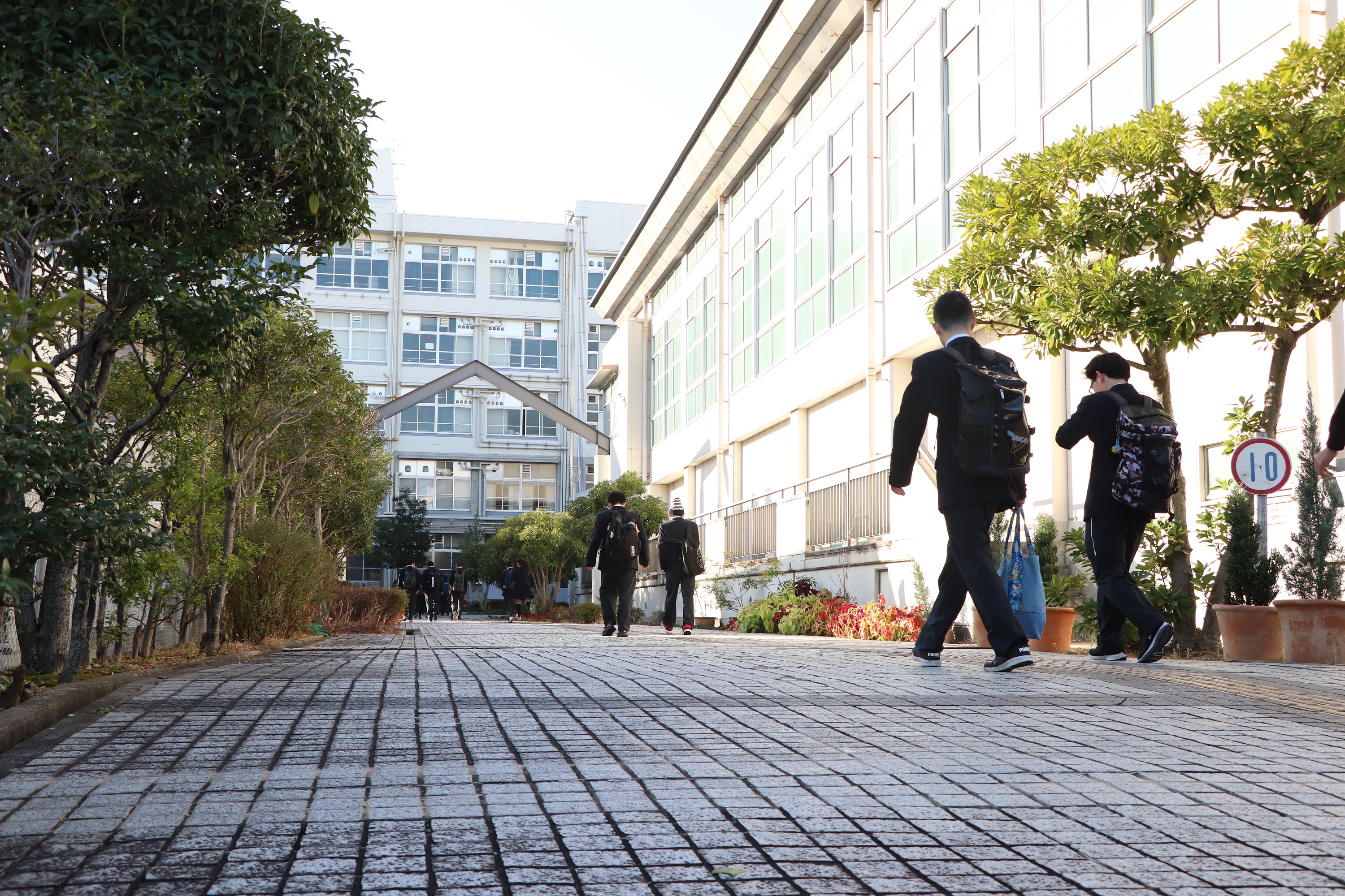 大阪 府立 東淀川 支援 学校