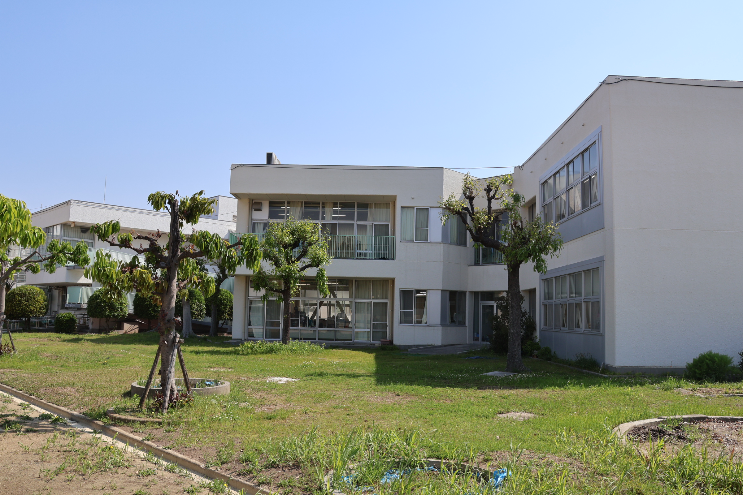 大阪 府立 東住吉 支援 学校