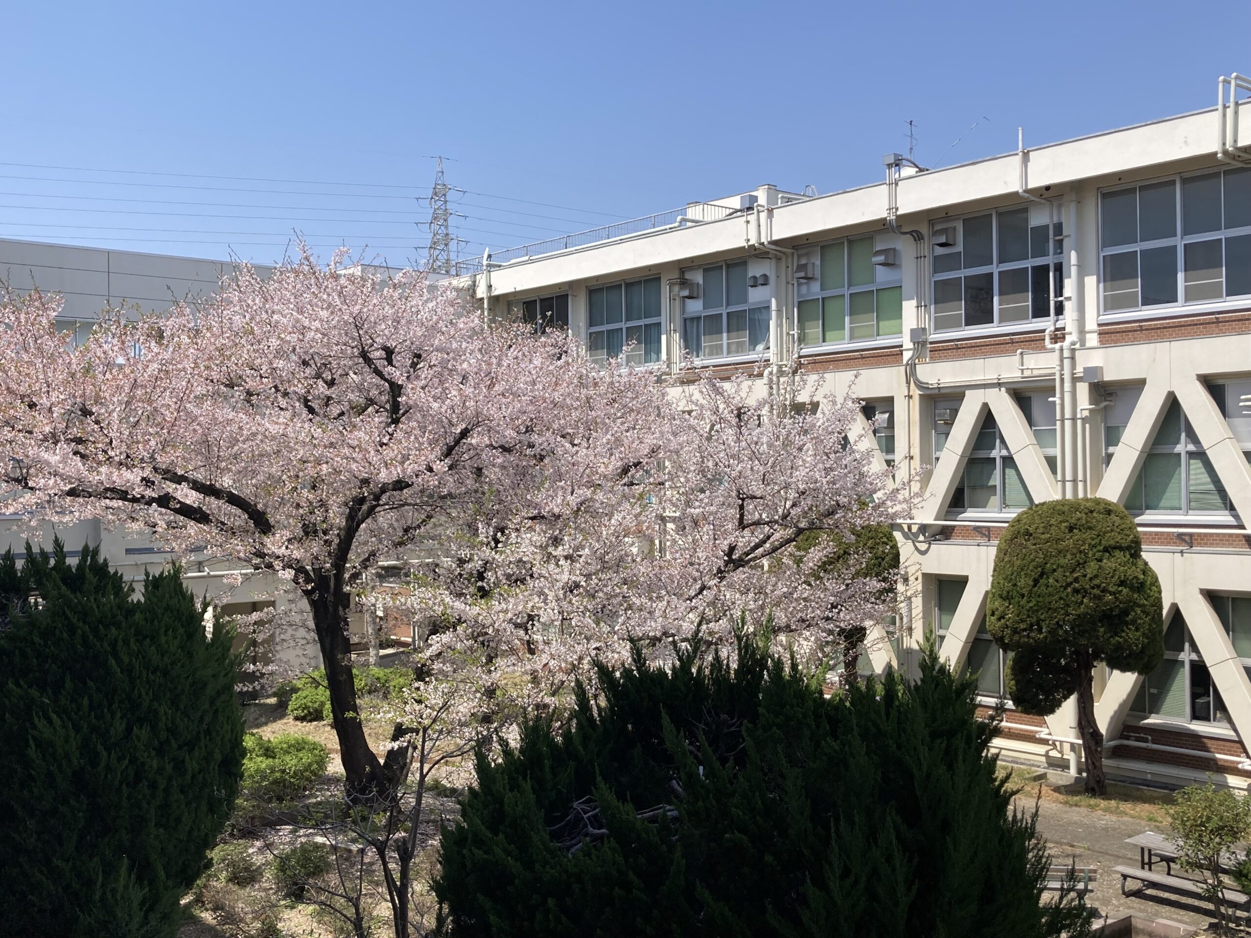大阪府立和泉総合高等学校