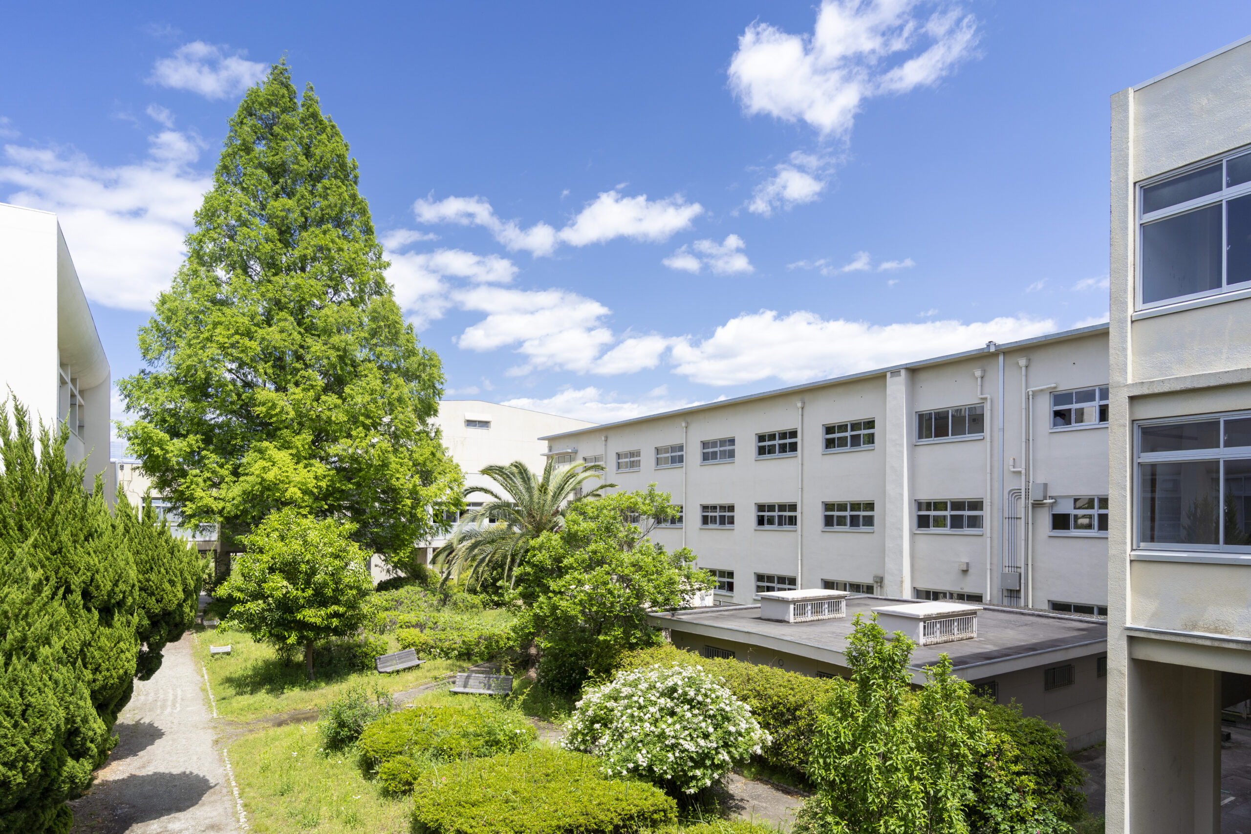 大阪府立吹田高等学校