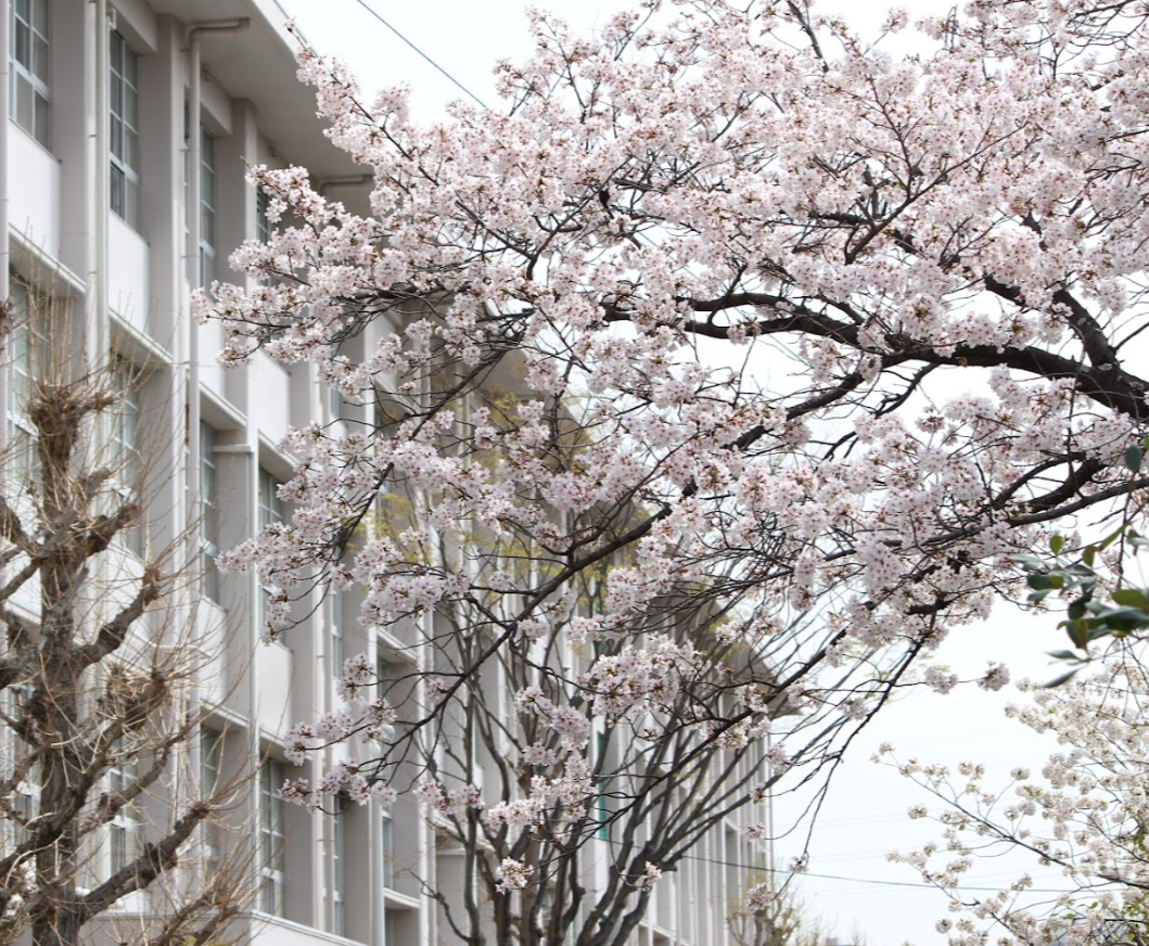 大阪府立芥川高等学校
