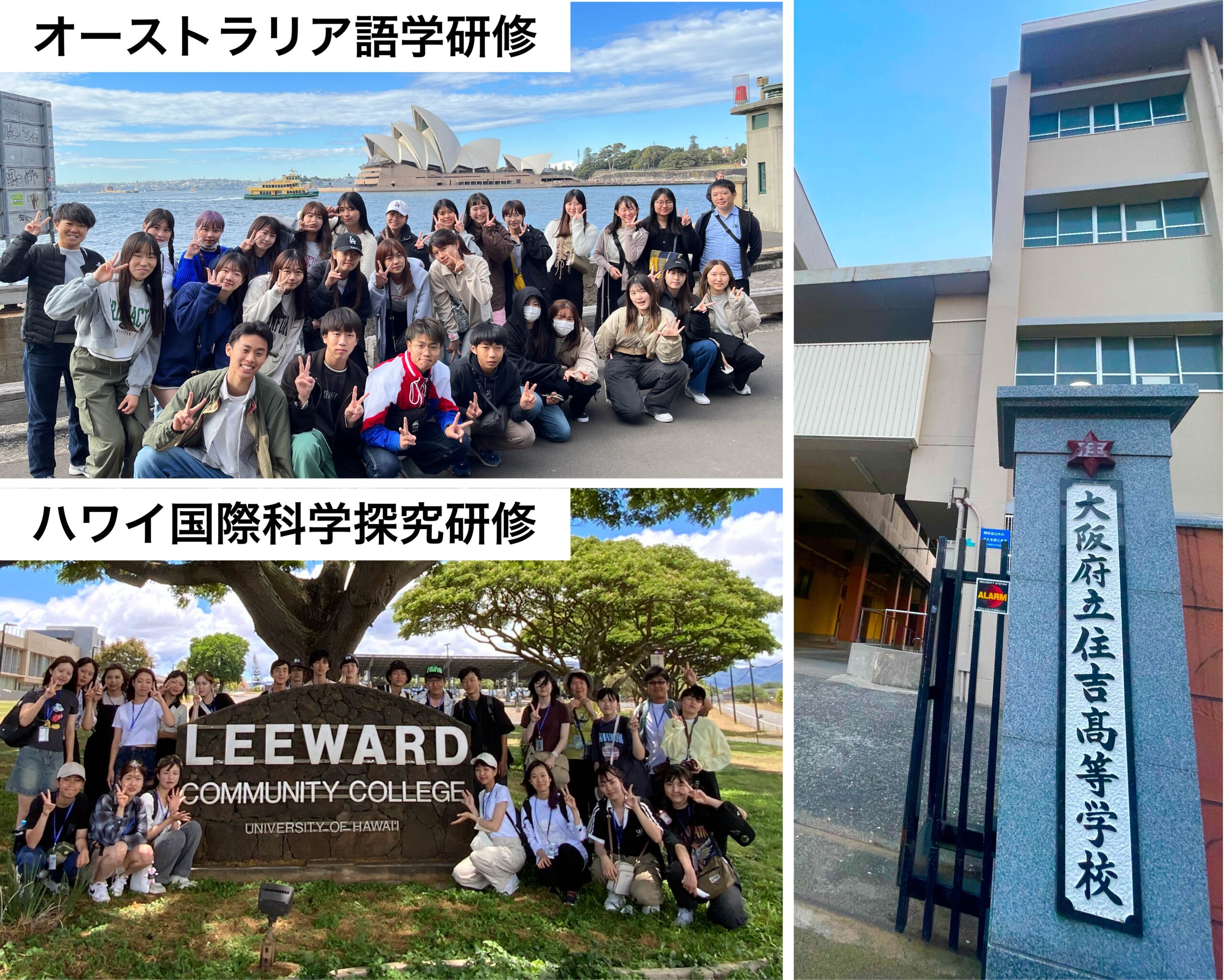 大阪府立住吉高等学校