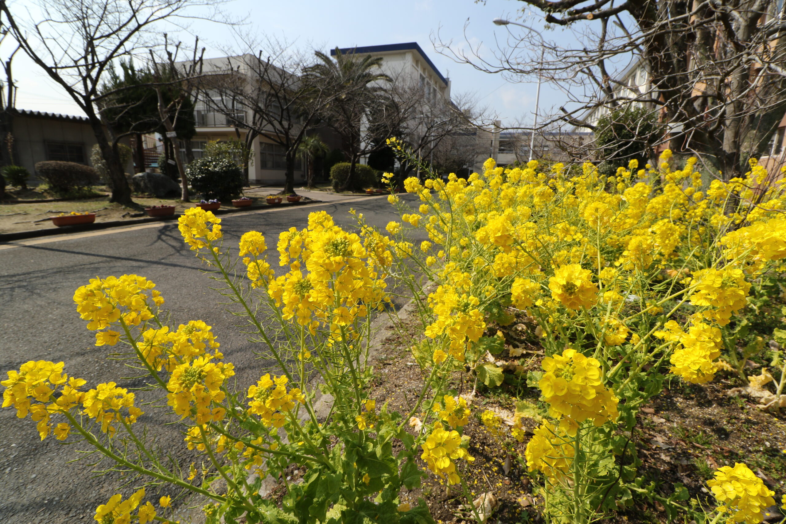 大阪府立布施高等学校