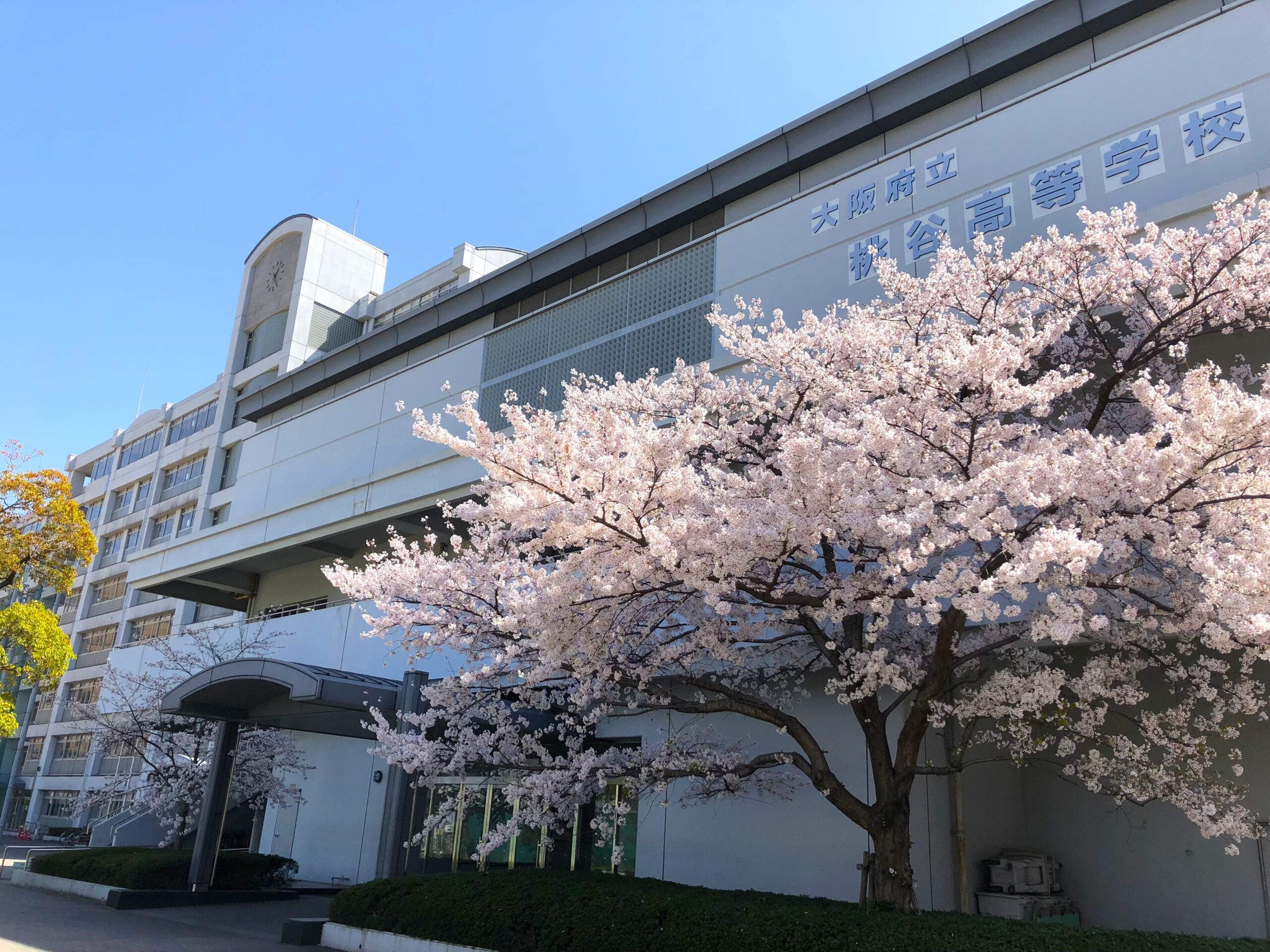大阪府立桃谷高等学校 通信制の課程