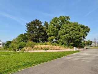 大阪府立堺支援学校