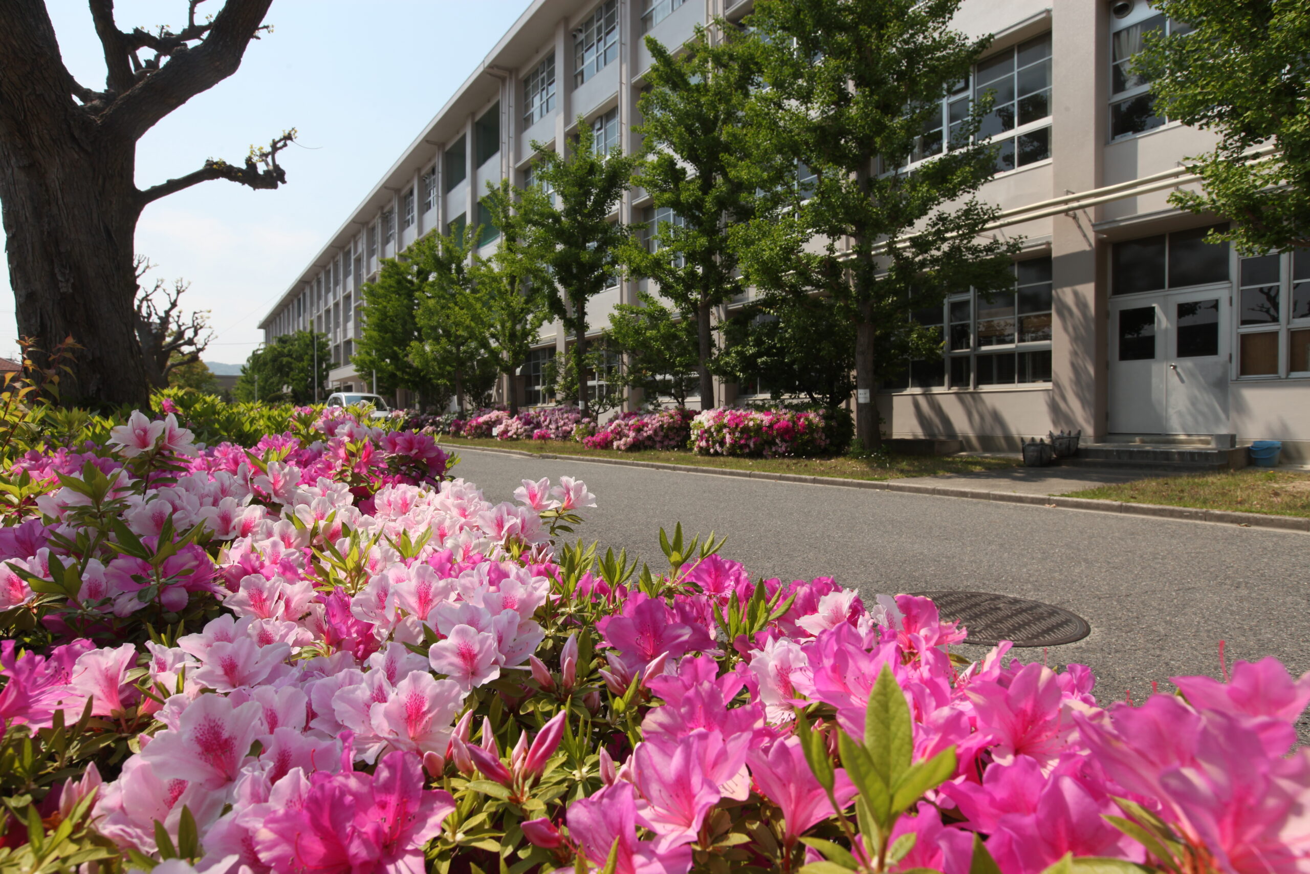 大阪府立芥川高等学校
